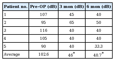 t2-kjorl-hns-2017-00577.png